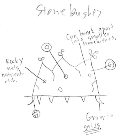 Stone Bushes